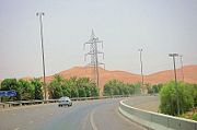 One way of preventing sand from accumulating in roadways is planting trees and vegetation along the road.