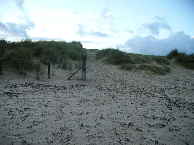 Image:Studlandfencing.jpg