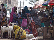 Djibouti City market