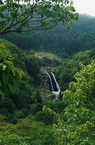 Image:Mantenga Falls.jpg