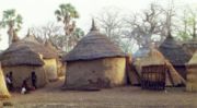 Traditional huts in south-east Burkina Faso.