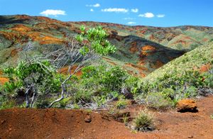 Typical terrain in the south of the islands at Grand Terre