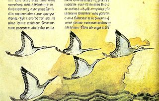 An image from an old copy of De arte venandi cum avibus.