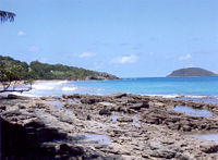 Beach in Guadeloupe