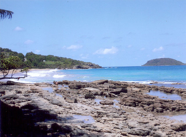 Image:Plage.Guadeloupe.jpg