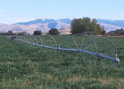 Wheel line irrigation system in Idaho. 2001. Photo by Joel McNee, USDA Natural Resources Conservation Service.