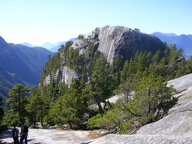 Image:Stawamus Chief South Peak 2.JPG