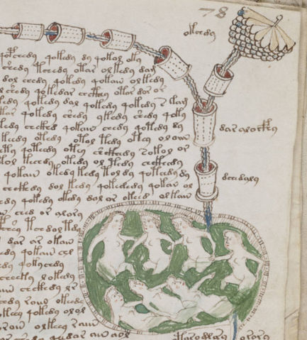 Image:Voynich manuscript bathtub2 example 78r cropped.jpg