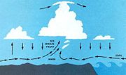 Schematic cross section through a sea breeze front. If the air inland is moist, cumulus often marks the front.