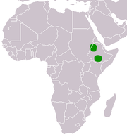 Ethiopian Wolf range (OBS: Contrary to this map, its range does not extend into E. Sudan).
