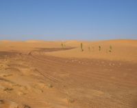 Sand dunes altered by traces of the Dakar Rally; Desert scenes continue to define the Mauritanian landscape.