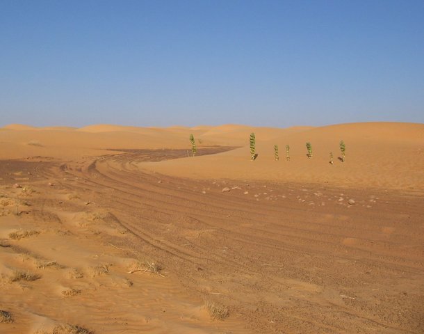 Image:Dakar traces mauritanie.jpg