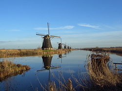 Panoramic view of windmills at Kinderdijk.