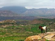 Ethiopian Highlands with Ras Dashan in the background.