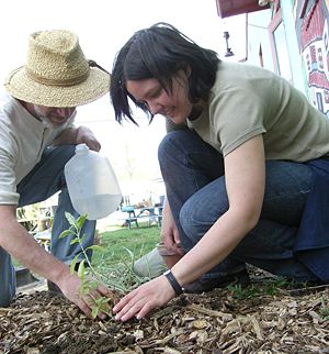 Planting in a garden.