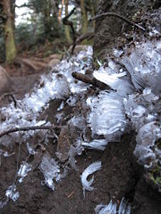 Strings of ice found in the Adirondack Region of New York State
