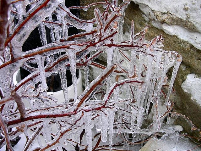 Image:Icicles.jpg