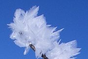 Feather ice on the plateau near Alta, Norway. The crystals form at temperatures below −30 °C (i.e. −22 °F).