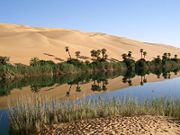 An oasis is an isolated water source with vegetation in desert