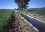 irrigation of field crops