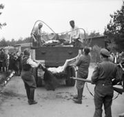 Former guards are made to load the bodies of dead prisoners onto a lorry for burial. 17-18 April 1945