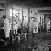 Some of the 60 tables, each staffed by two German doctors and two German nurses, at which the sick were washed and deloused. 1-4 May 1945