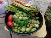 A bowl of tomatillos and beans in the pod