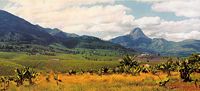 Mount Murresse and tea plantations near Gurúè, Zambezia Province, northern Mozambique.