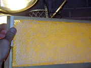 A capped frame of honeycomb