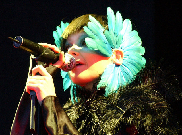 Image:Bjork Hurricane.jpg