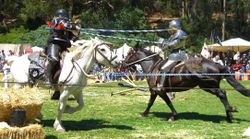 Jousting was a staple entertainment for medieval Frankish aristocrats. Many Scottish kings took part in tournaments, a fact remembered by Wolfram von Eschenbach's Parzifal, where the exotic Scottish king is a celebrated jouster.