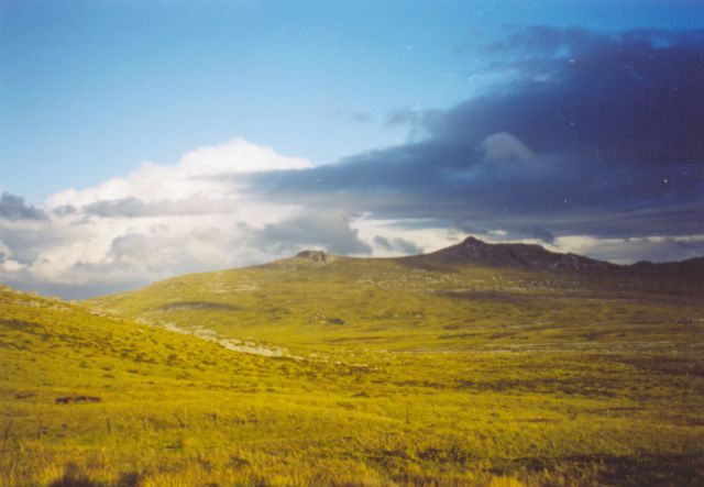 Image:Upland.jpg