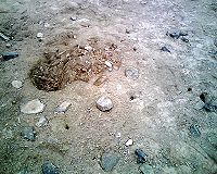 A looter's pit on the morning following its excavation,  taken at Rontoy, Huaura Valley, Peru in June 2007. Several small holes left by looters' prospecting probes can be seen, as well as their footprints.