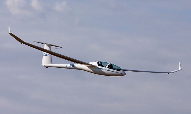 Image:DG1000 glider crop.jpg