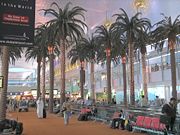 Inside the Dubai International airport terminal