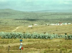 A rural area in Ciskei, one of the apartheid era "homelands"