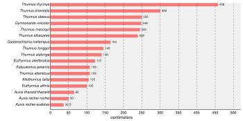 Maximum reported sizes of tuna species