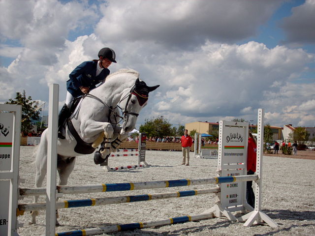 Image:Showjumping white horse.jpg