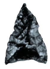 Obsidian projectile point