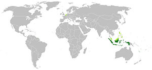 This is a Map of where Indonesian is predominantly spoken.  Dark green represents where Indonesian is spoken as a major language.  Light green represents where it is a minority language.