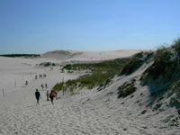 Dunes in Słowiński National Park
