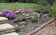 Rockery in England