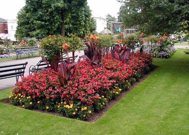 Image:Garden.zoo-Bristol.jpg