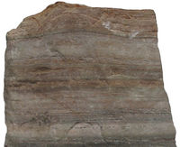 Quartzite, a form of metamorphic rock, from the Museum of Geology at University of Tartu collection.