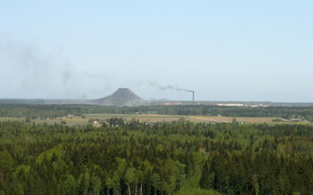 Image:Estonian-nature-ash-hills.jpg