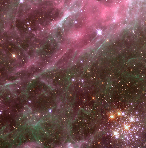 Image:Tarantula nebula detail.jpg