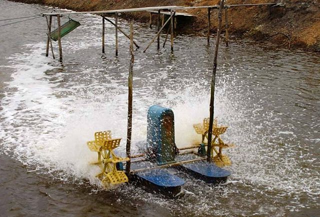 Image:Paddlewheel aerator.jpg