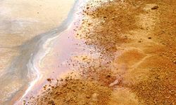 A toxic sludge oozing out of the bottom of a shrimp pond of a farm in Indonesia after the harvest. The liquid pictured here contained sulfuric acid resulting from oxidation of pyrite contained in the soil. Such contamination of a pond leads to stunted growth of the shrimp and increased mortality rates; the growth of the plankton is reduced drastically. Liming can be applied to counteract to some extent the acidification of the water in ponds on acid sulfate soil, such as mangrove soils.