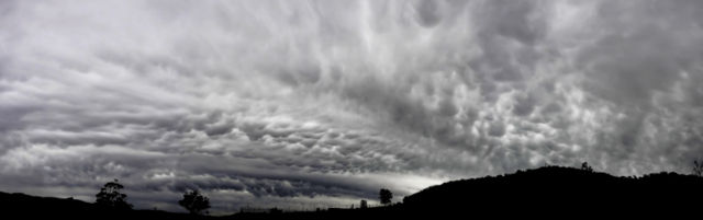 Image:Mammatus cloud panorama.jpg