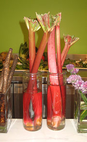 Rhubarb displayed for sale at a grocery